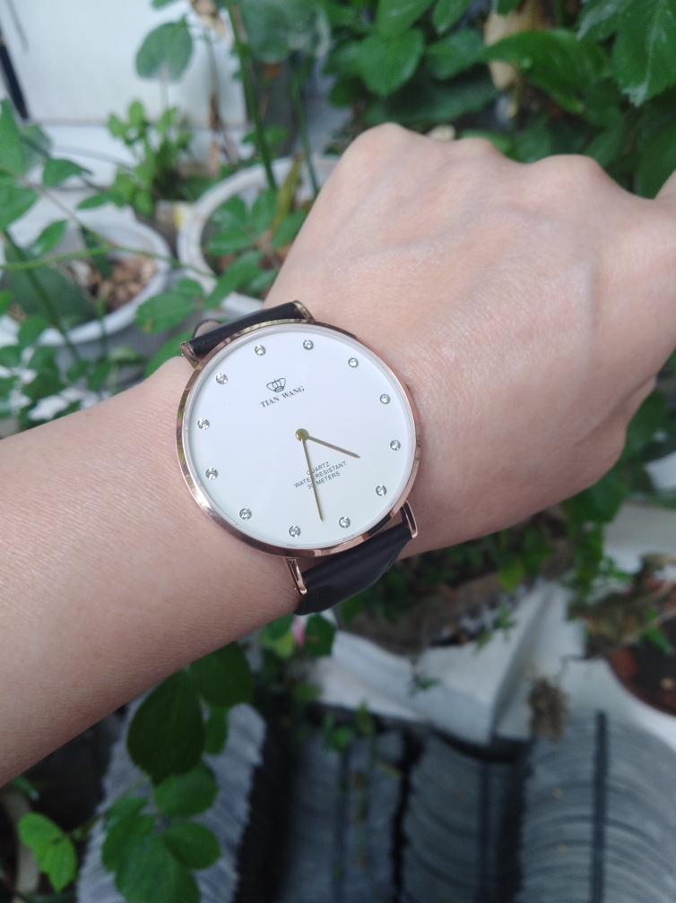 天王手表男士机械表什么样,天王手表咋样