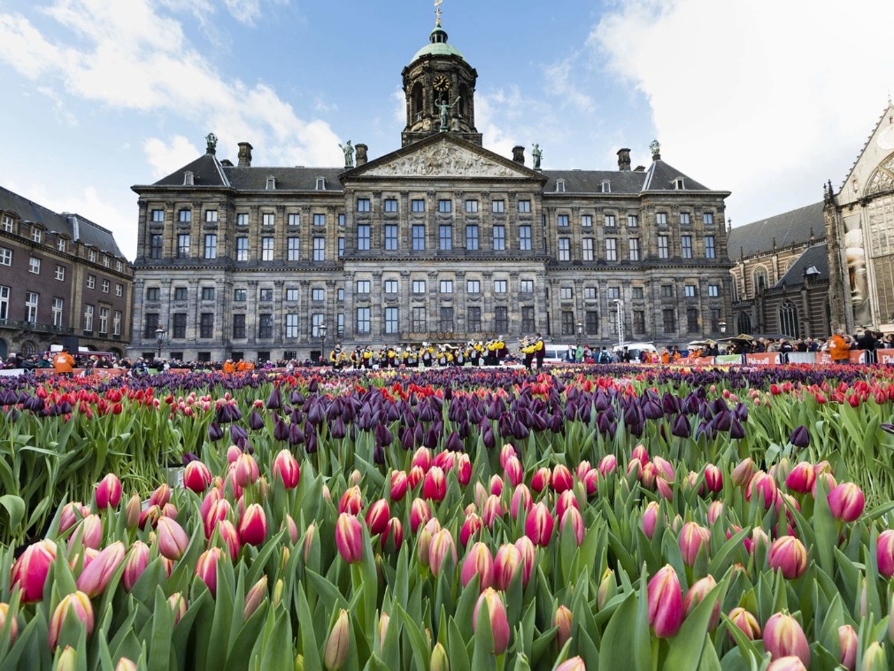 荷兰谣言视频,荷兰为什么要改名成尼德兰