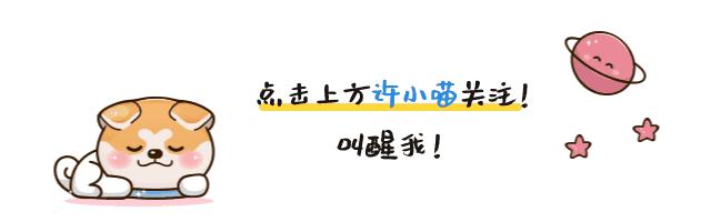 平价彩妆中的yyds,彩妆界的yyds单品