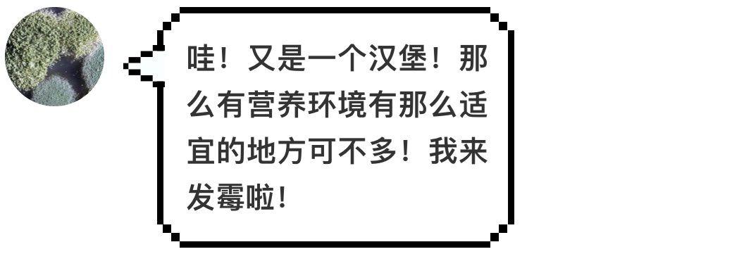 汉堡王又碰瓷麦当劳了，这次用的是发霉的汉堡