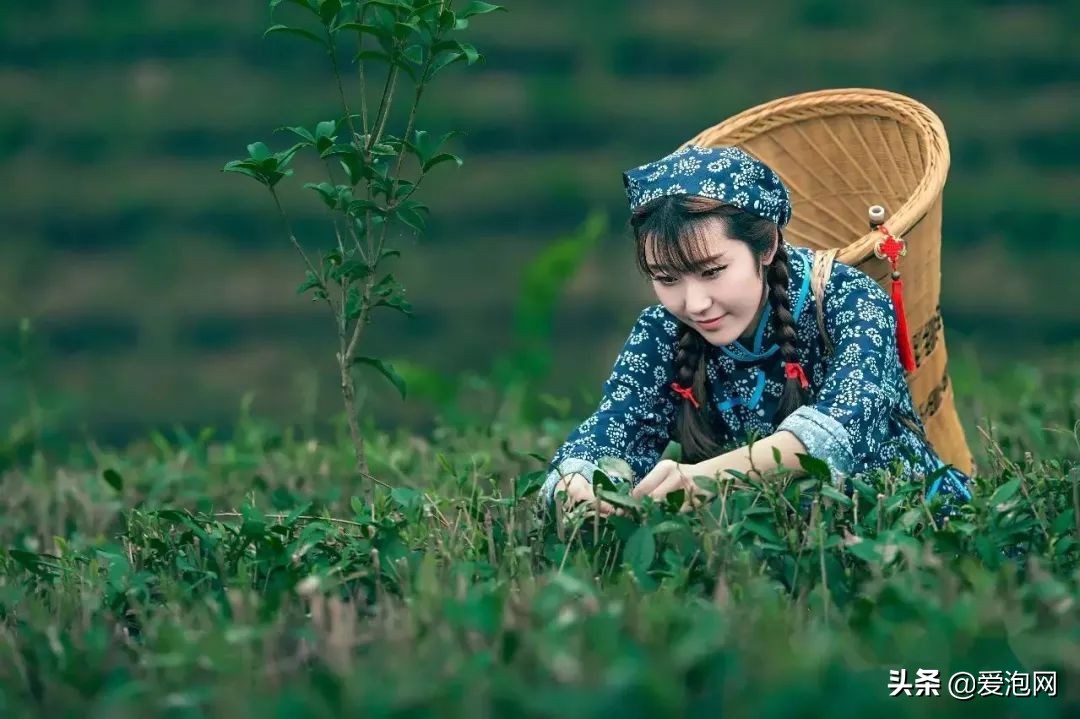 中国最美最好的自驾游线路,五一最火热的自驾游线路推荐