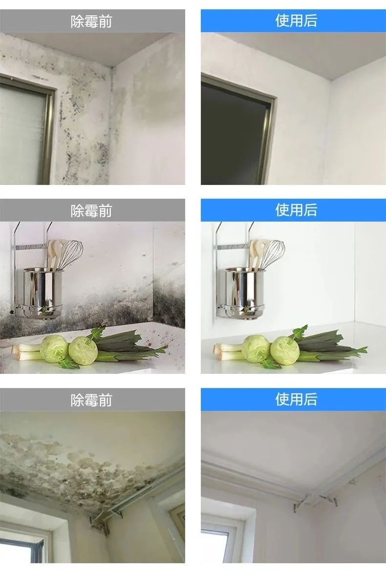 霉菌比*霜砒**毒还毒68倍？你家屋子里这些发霉的地方都清理了吗？