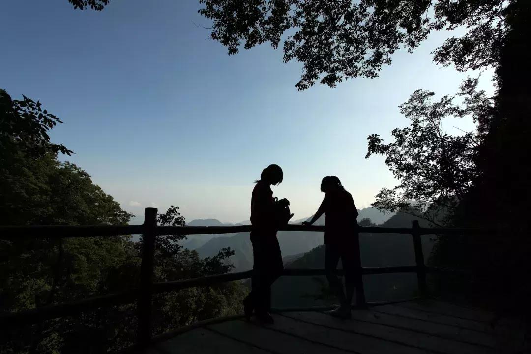 南阳西峡老君洞大锅菜,有哪些适合多人吃的大锅菜