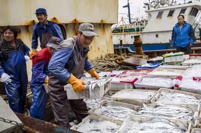买带鱼时要分清黄眼睛和黑眼睛,买带鱼黑眼睛和黄眼睛哪个好