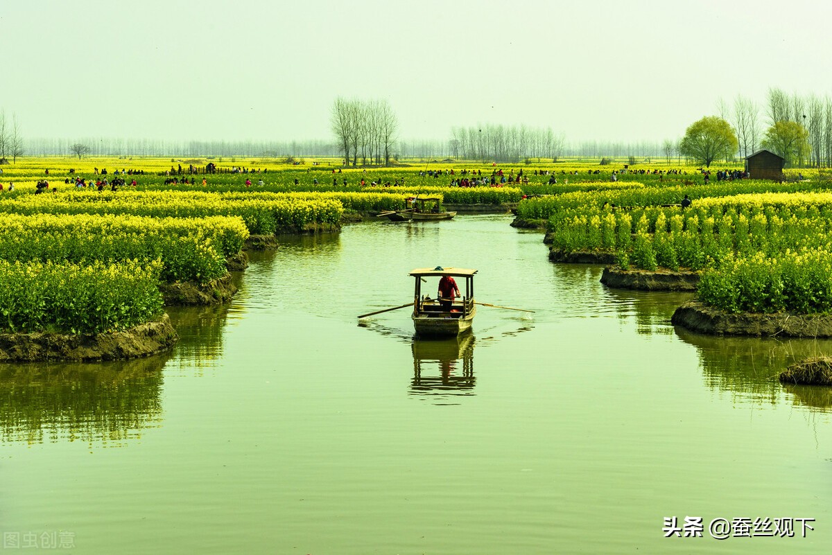 泰州经济支柱是什么,泰州经济分析