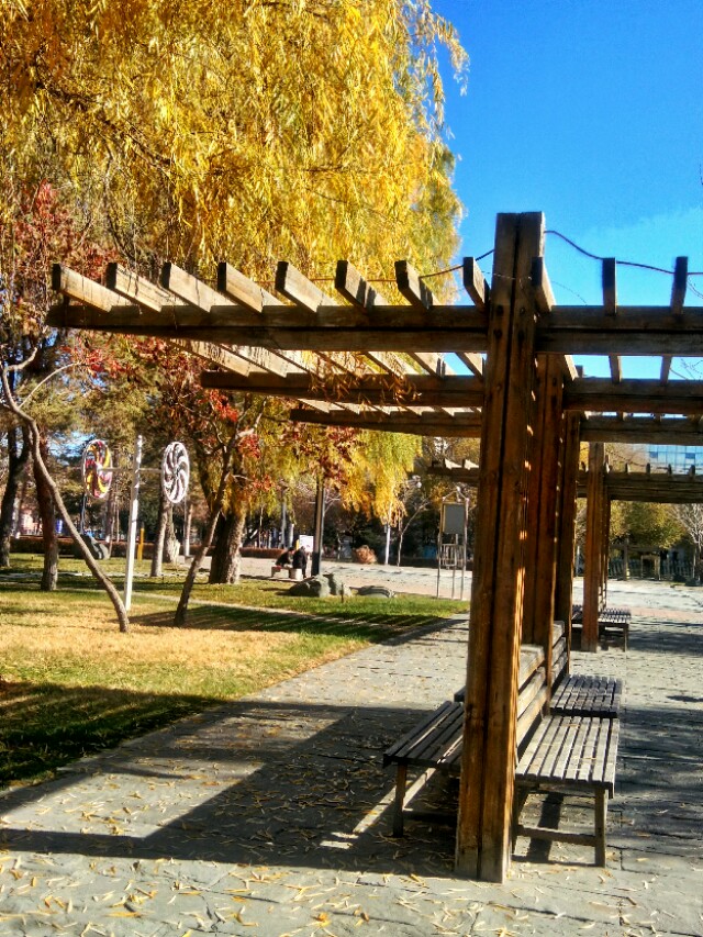 33天没写一个字失了手感后,我是如何恢复文气的?