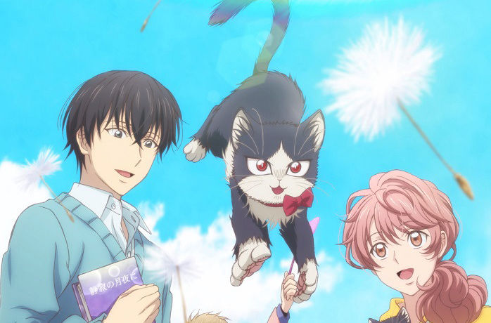 《同居人是猫》一月不容错过的治愈番网友：又想骗我养猫