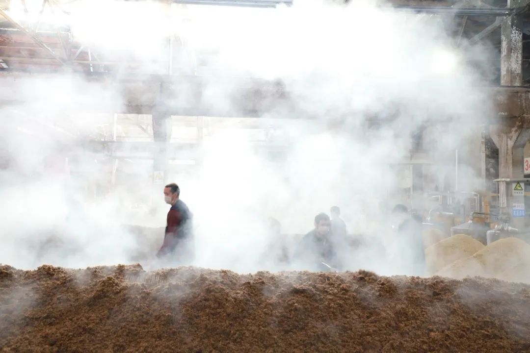 五粮液人在行动|疫情下的五粮液酿酒工：干劲大，更加珍惜工作了