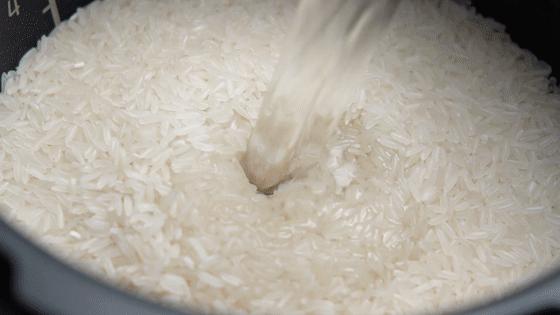 上班族早餐家常菜谱,午餐便当照烧鸡腿