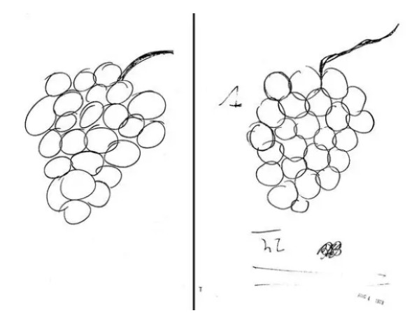 美国中情局有哪些匪夷所思的“骚操作”？从“人脑控制计划”说起