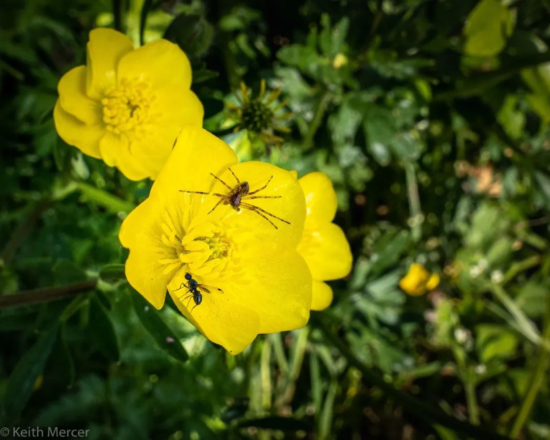 徕卡便携相机徕卡d-lux7测评,徕卡相机d-lux7适合街拍吗