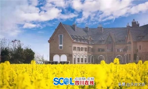 九莲小学,新津九莲小学