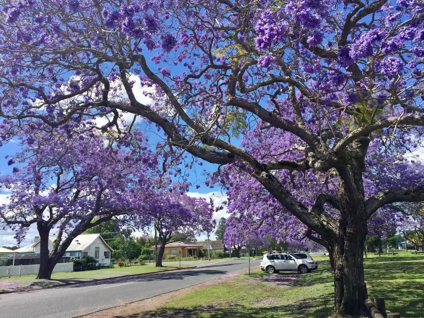你羡慕我们的爱情吗,你羡慕同龄人吗