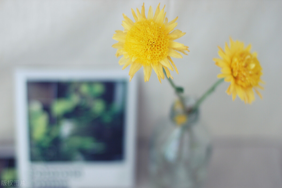 治拖延最好的方法是迈出第一步,拖延最好的治疗