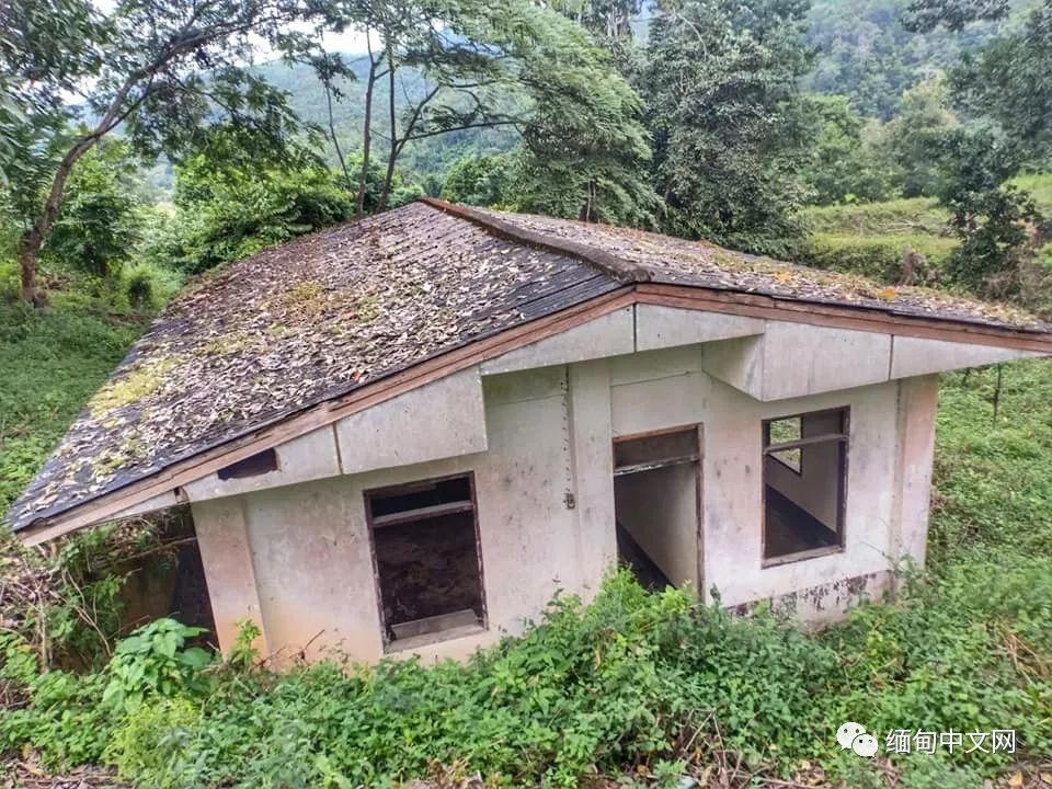 坤沙是怎么当上金三角老大的,金三角大毒枭坤沙传奇的一生