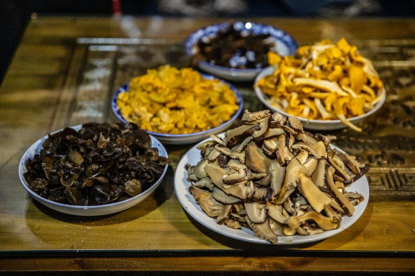 胡正阳经典视频,胡正阳游记川藏线