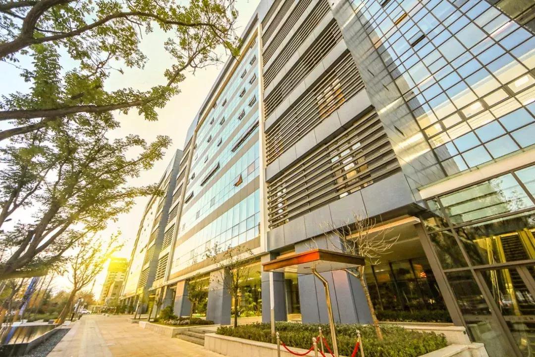 大雁塔旁边的餐馆,西安大雁塔旁边的印度餐厅