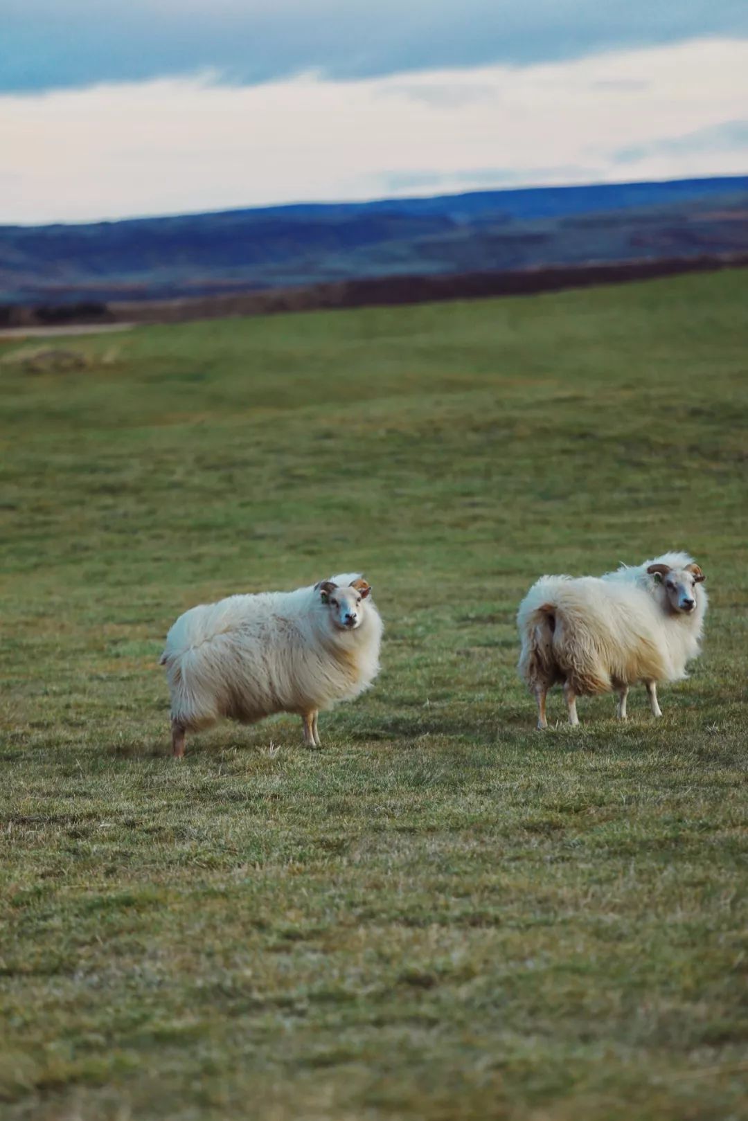 冰岛自驾最佳路线,冰岛的冒险之旅