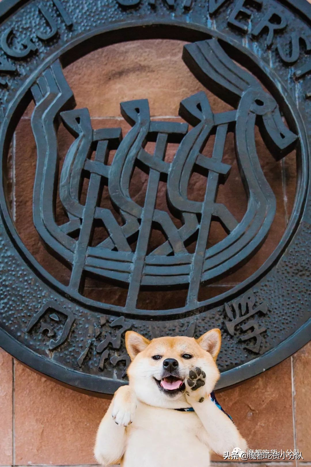 高考择校tips,高考择校指导985211