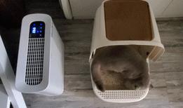 吉若奥mini空气净化器,吉若奥空气净化器测评