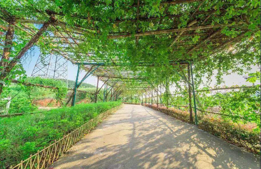 南昆山富力养生谷公寓两房,南昆山富力养生谷三房二厅民宿