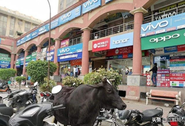 世界互联网的未来在印度,但已被中国“接管”……