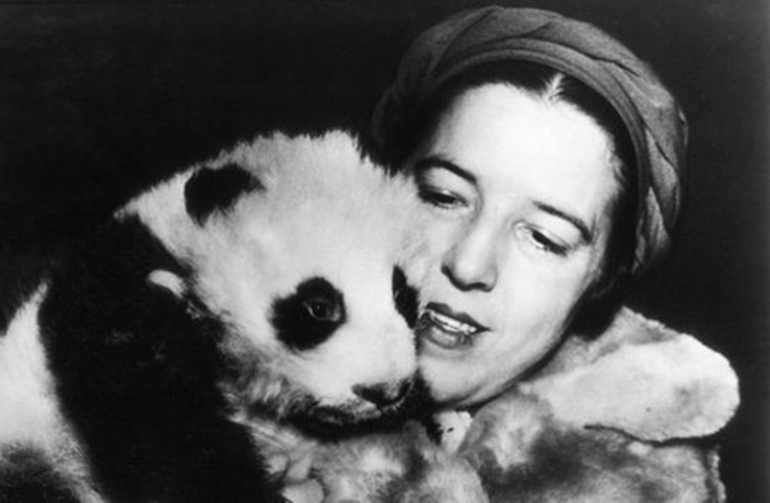 1939年被偷到英国的大熊猫,美国人偷走大熊猫后续