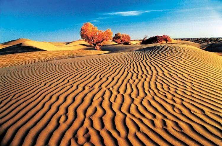 塔里木变成巨大的淡水湖,塔里木盆地可以改造成湖泊