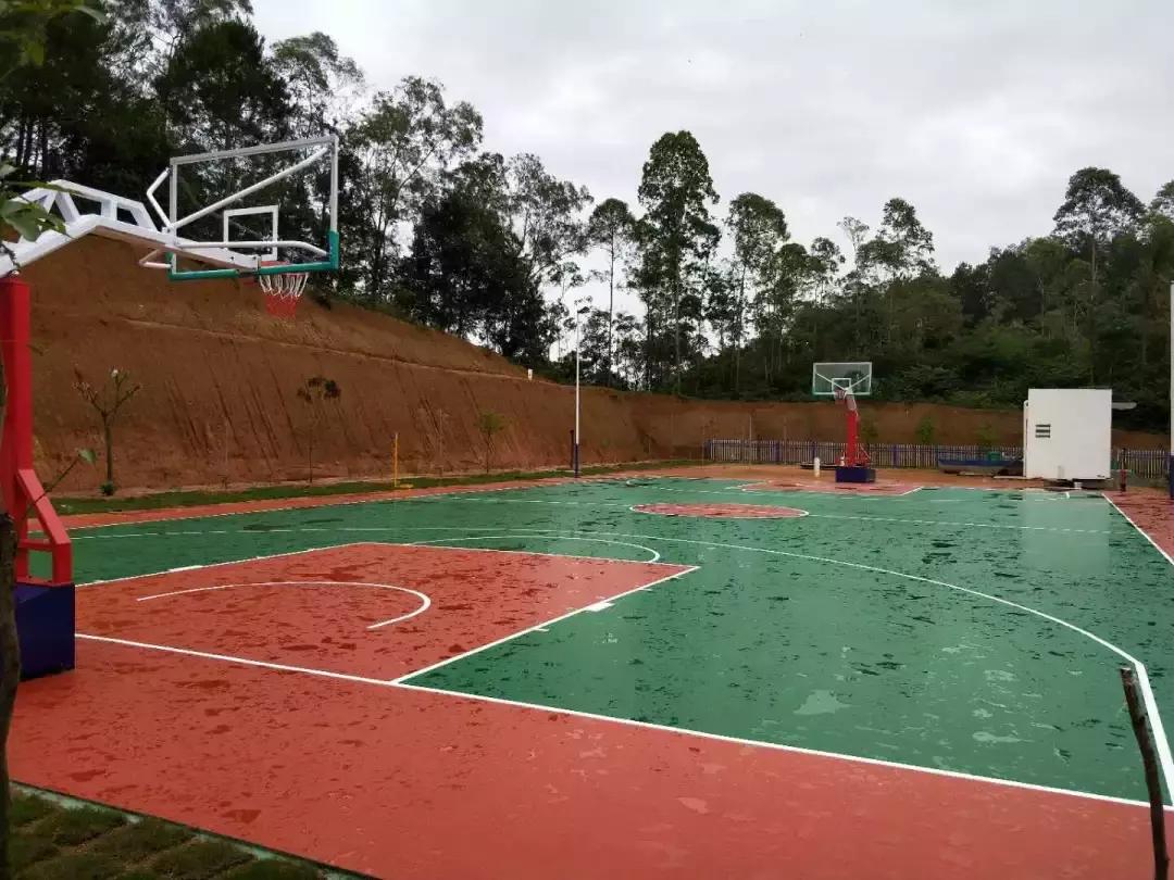 如何维护和管理体育场地,冬季体育训练有哪些注意事项