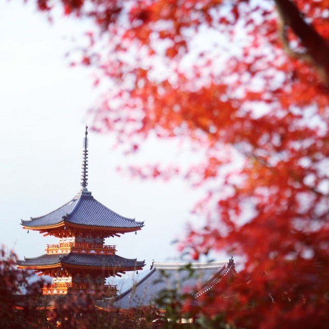 日本京都枫叶季旅游攻略,日本关西赏枫旅游攻略