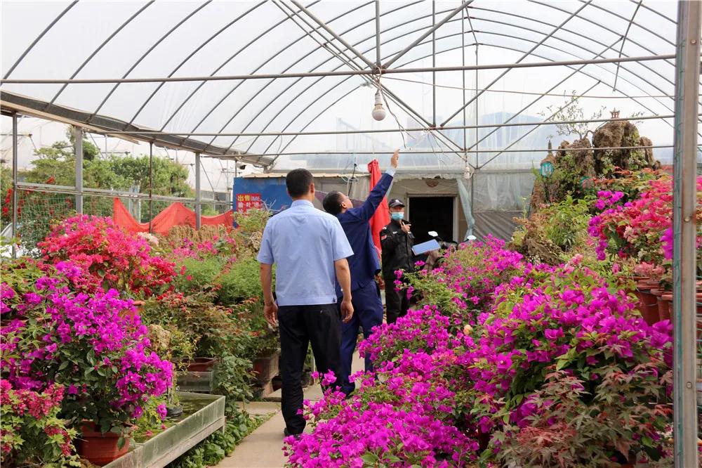 宿迁市沭阳县沭阳国际花木城,沭阳国际花木城布局