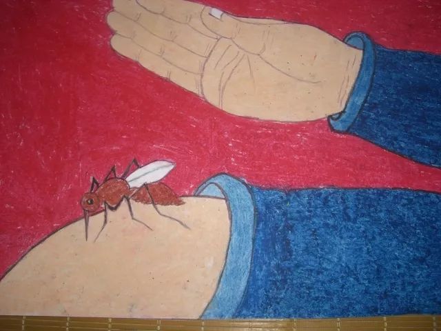 整天睡不着是睡眠障碍还是失眠,失眠睡不着4招帮你改善睡眠状态