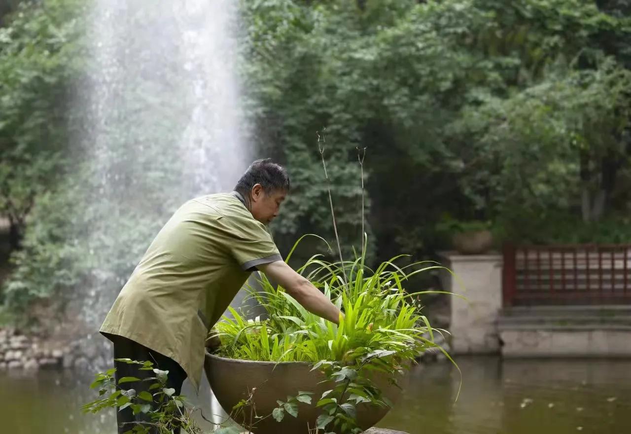 想在太原买个二手房哪个平台好,买太原富力城二手房可以上中学吗