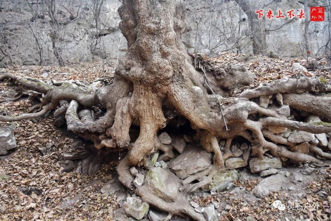 灵石登山运动,灵石登山步道