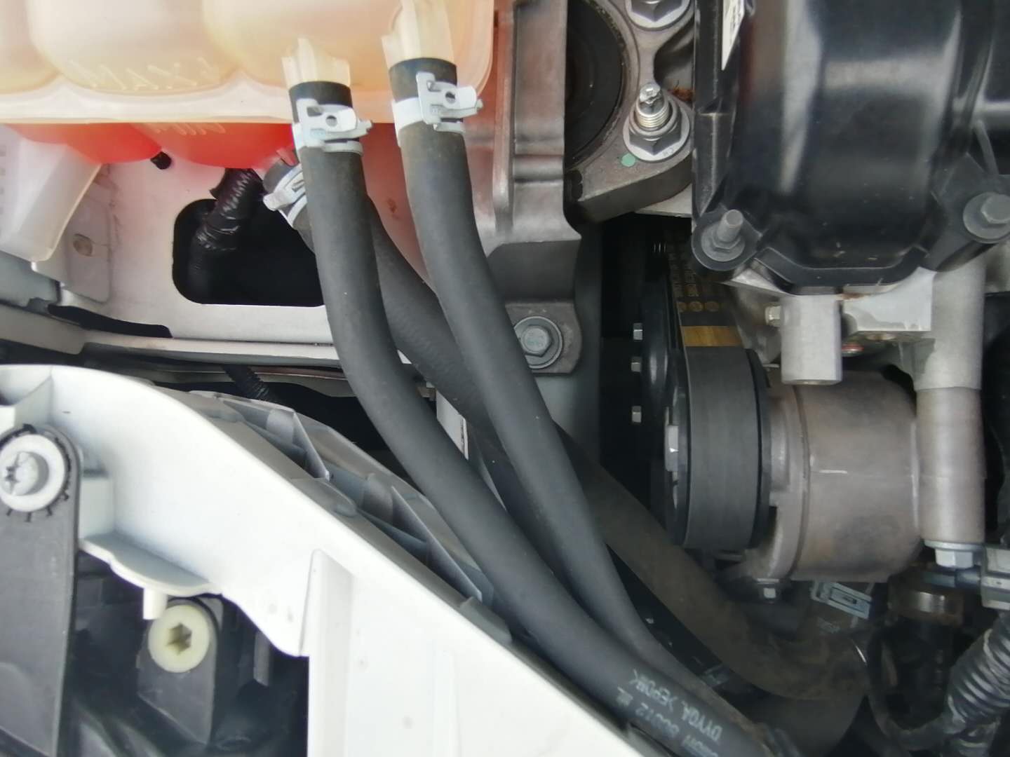 2019福克斯试驾视频胖哥,胖哥试驾福克斯1.5t