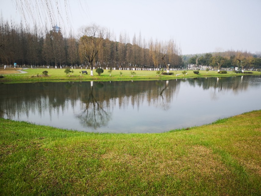 宜兴竹海游和龙背山森林公园游记