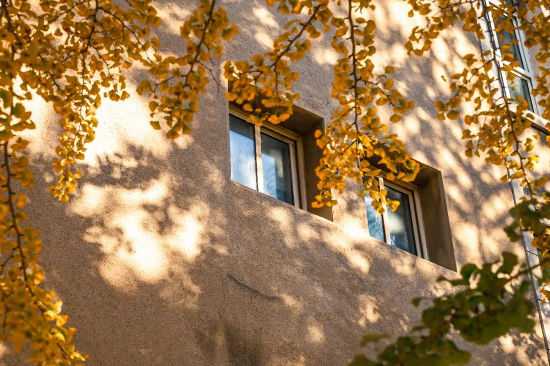 醉美大工秋|读书不觉已秋深，____________