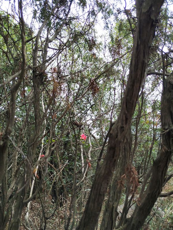 杭州市周末自驾游去哪里好玩,杭州出发周末旅游攻略