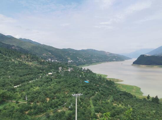 巫山县脆李基地项目,巫山脆李产业