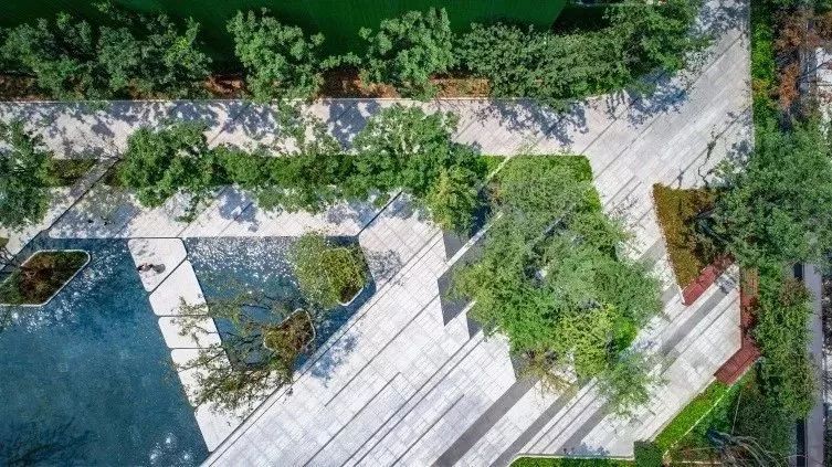 如果世界会飞咋样,假如会飞