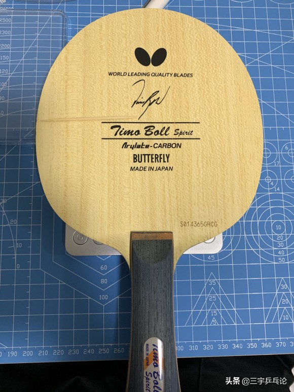 蝴蝶底板小绿豆真假区别,蝴蝶绿豆底板什么意思