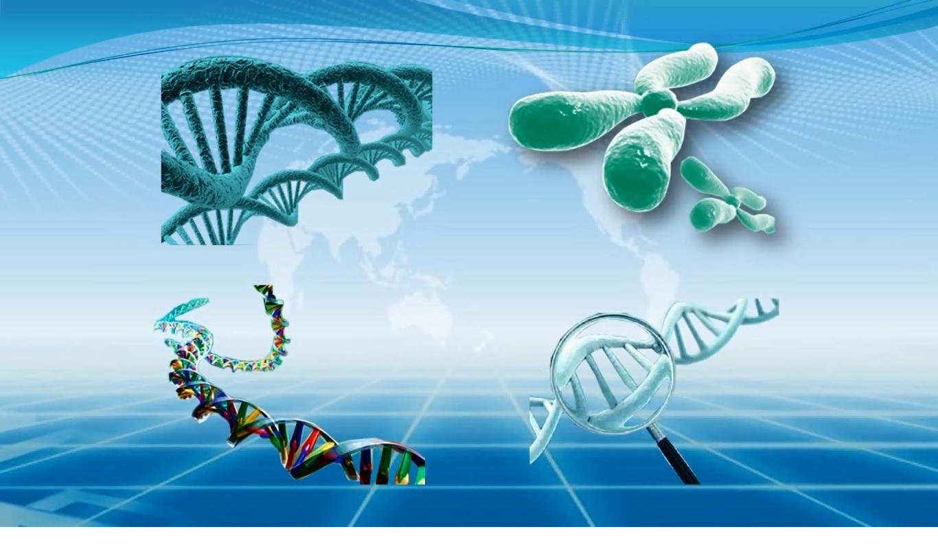 埃博拉病毒有多恐怖死了多少人,埃博拉病毒所致疾病