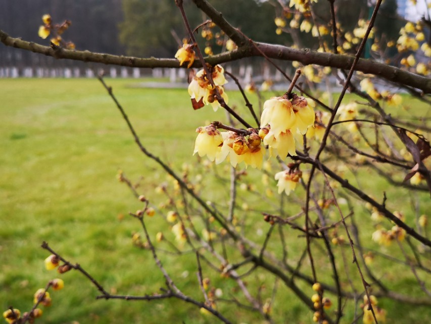 宜兴竹海游和龙背山森林公园游记