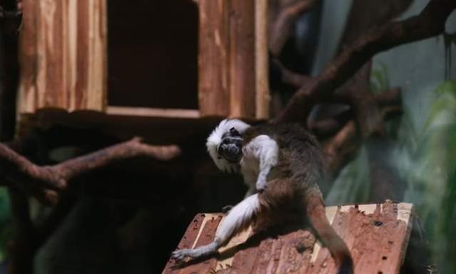 广州长隆四天三晚旅游推荐,4天去广州长隆和珠海看海怎么玩