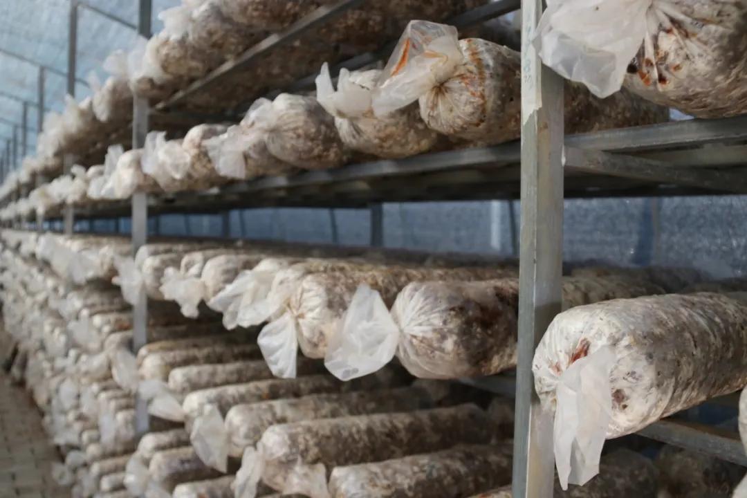 鲁甸卯家湾易地搬迁安置项目,鲁甸卯家湾搬迁摇号分房