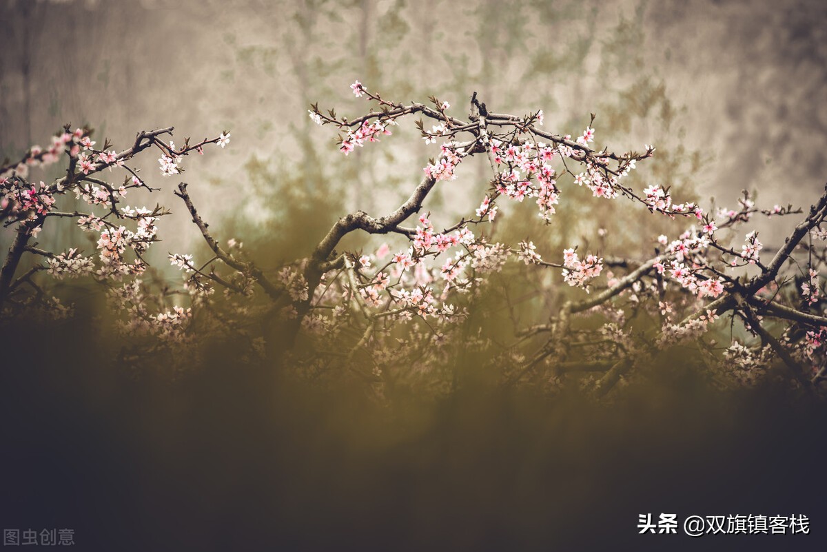 横店大神都在哪里看,横店大侠解答网友疑问