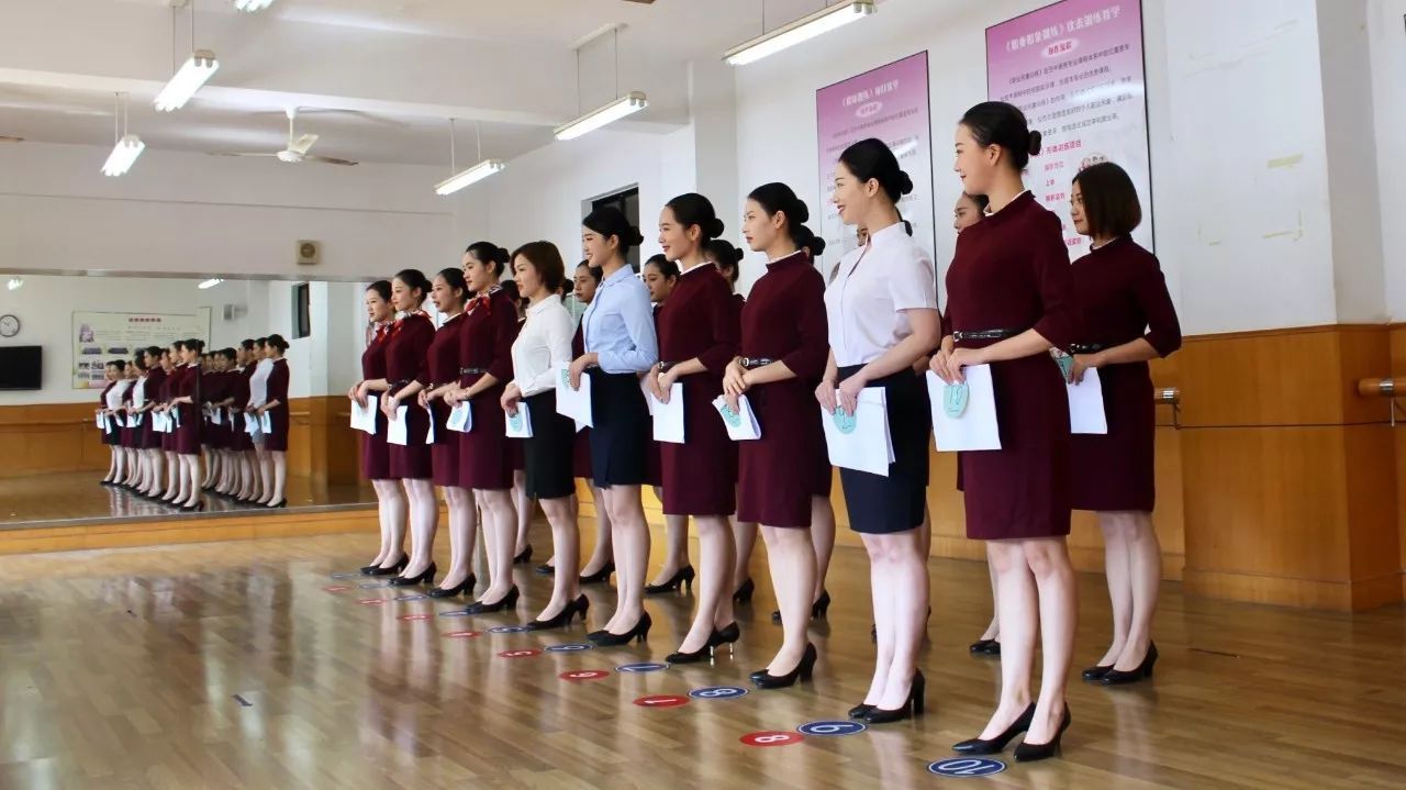 职场百科:收168000安置费!才能安排空姐空少?惊天套路