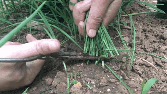 走火入魔的早教加盟，让好生意变成了“韭菜”收割机