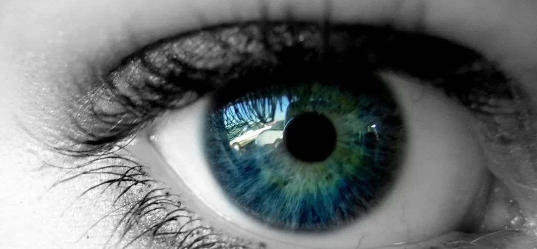 多少度以下的低度近视,低度近视防控的方法