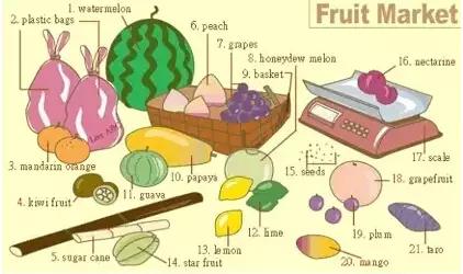 英语听力场景词汇大汇总,高一、高二、高三均适用